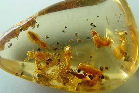 kehribar-tasi-faydalari